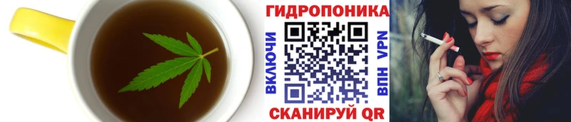 Печенье с ТГК конопля  дарк нет какой сайт  Дмитриев  наркота 