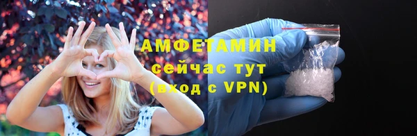 гидра Бронницы