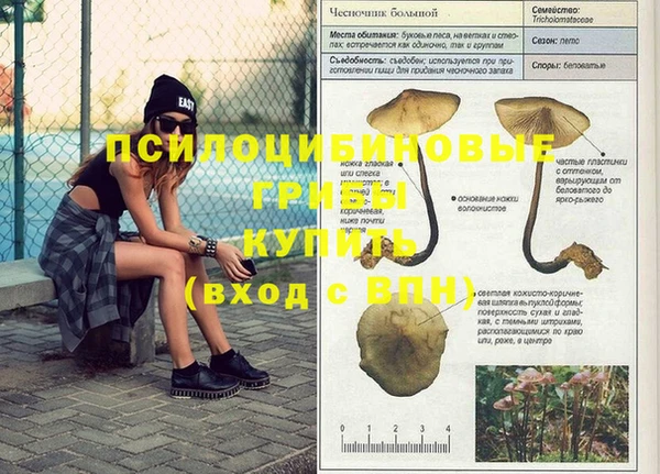 Альфа ПВП Верхний Тагил