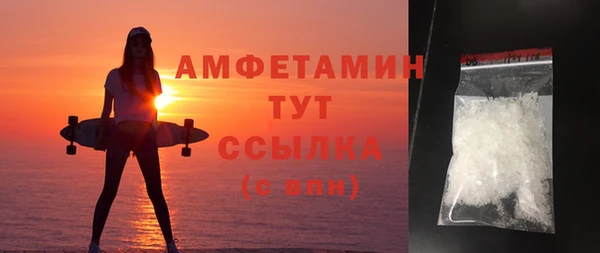 гидра Бронницы